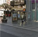 Santo Domingo · Hotel Alfonso V Marquesina en Santo Domingo (Hotel Alfonso V)